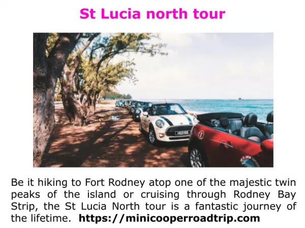 St Lucia island road trip