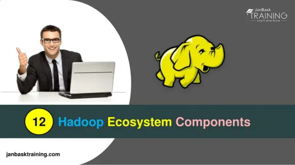 Learn Top 12 Hadoop Ecosystem Components