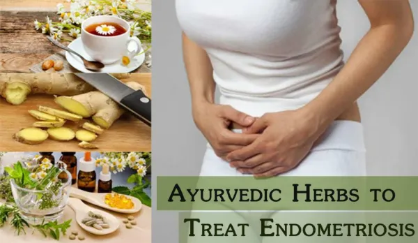 Ayurvedic Herbs to Treat Endometriosis Naturally