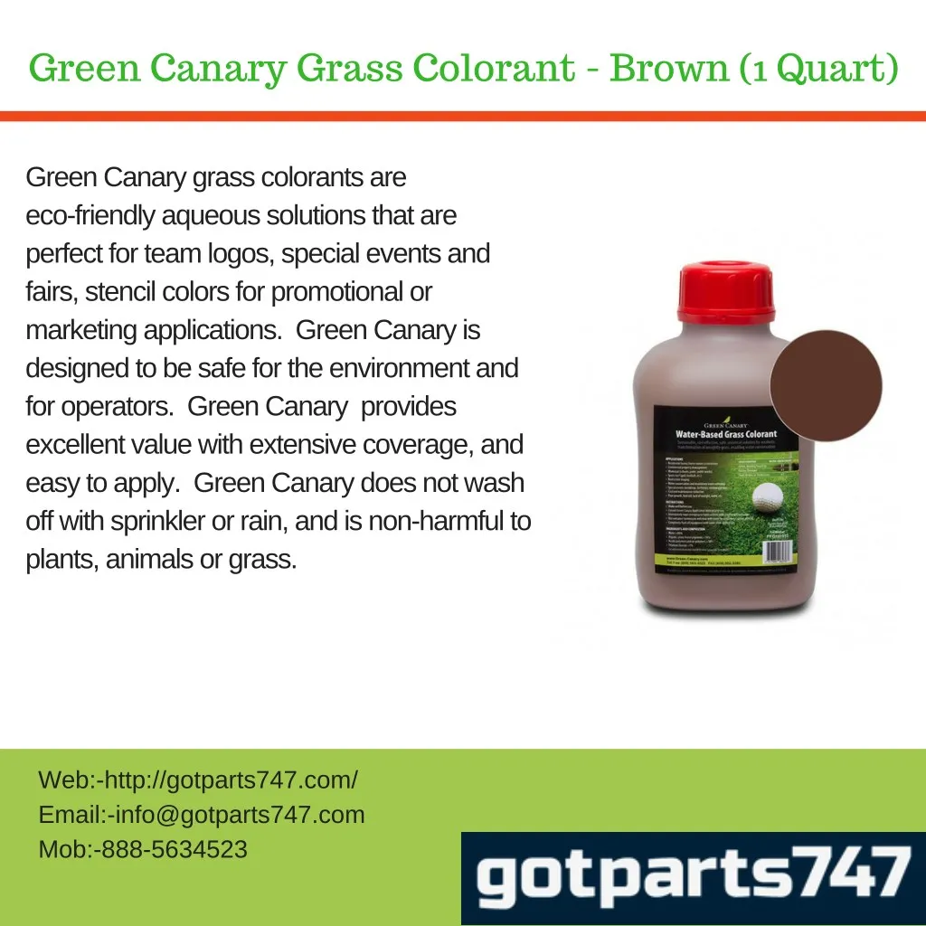 green canary grass colorant brown 1 quart