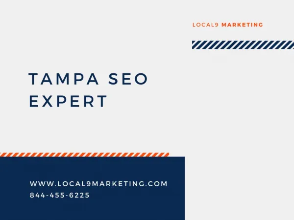 Tampa SEO Expert and Online Marketing Company | Local9 Marketing