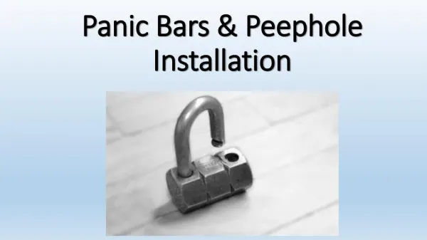 Panic Bars & Peephole Installation