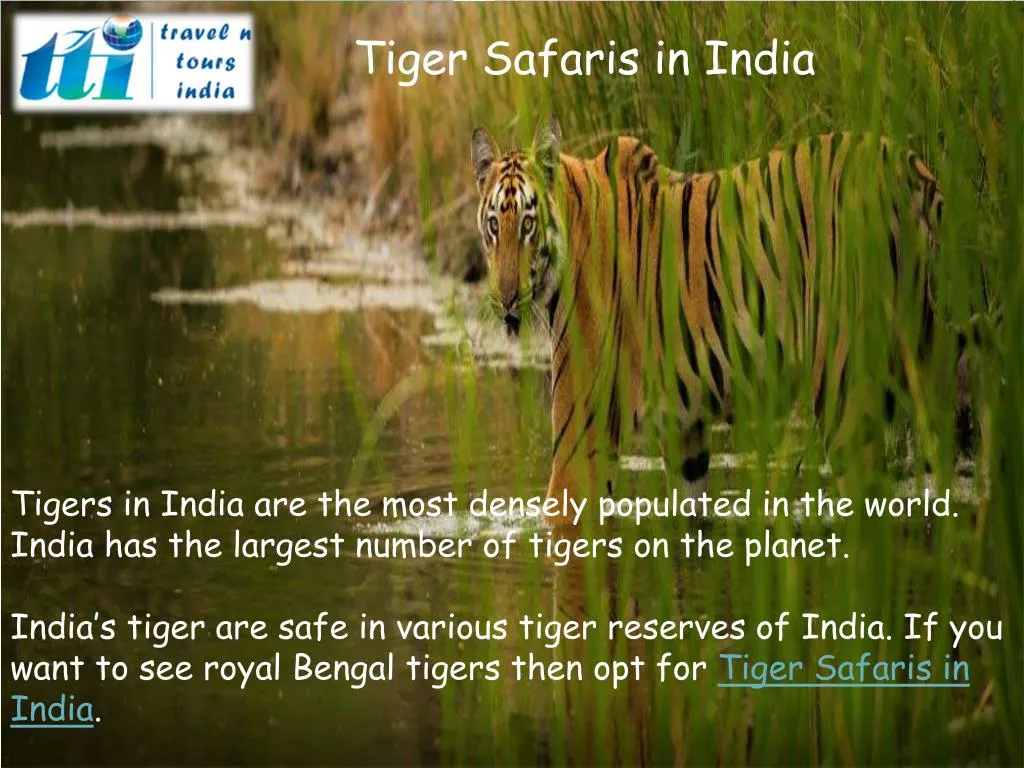 tiger safaris in india