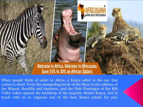 African safari tours
