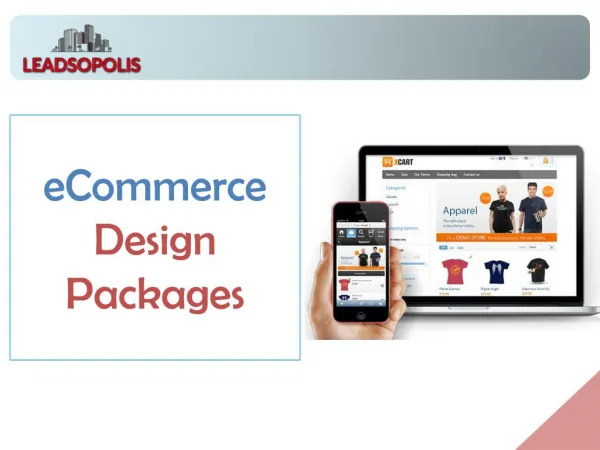 eCommerce Store Design Packages - Leadsopolis
