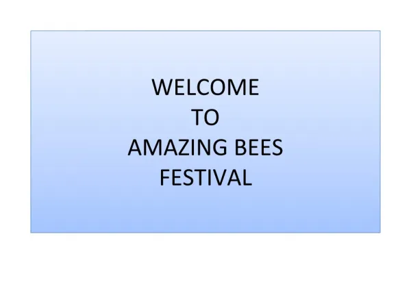 Amazing Bees Festival