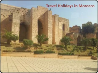 Travel Holidays in Morocco