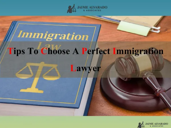 Tips To Choose A Perfect Immigration Lawyer