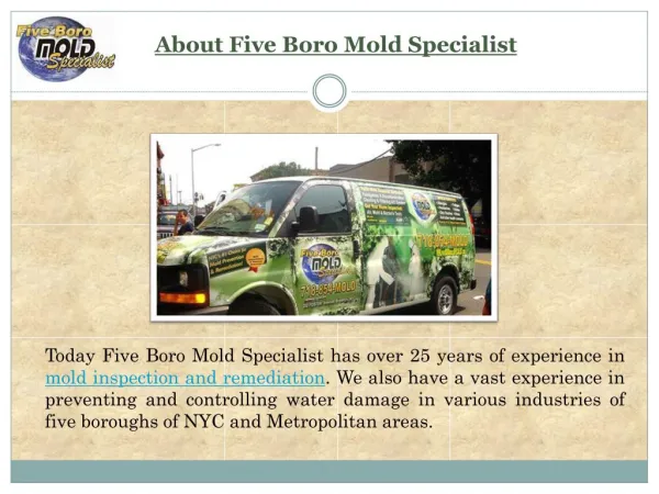 Mold Removal New York