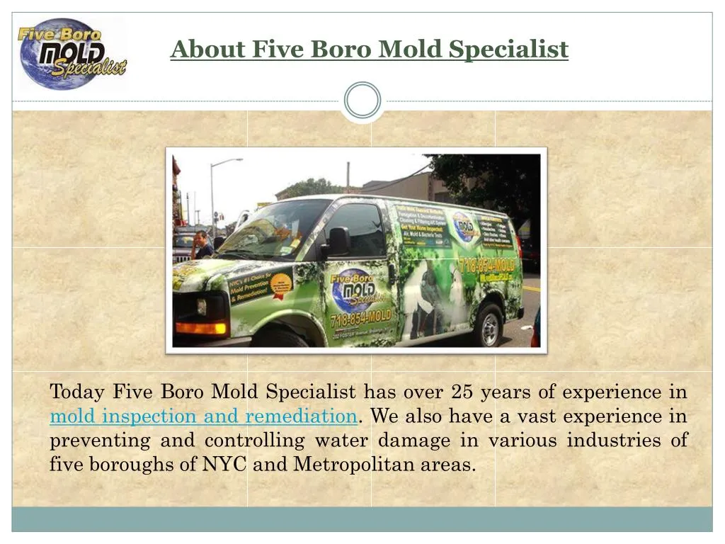 about five boro mold specialist