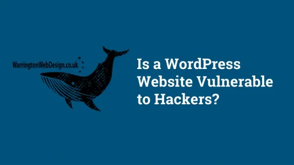 Is a WordPress Website Vulnerable to Hackers?