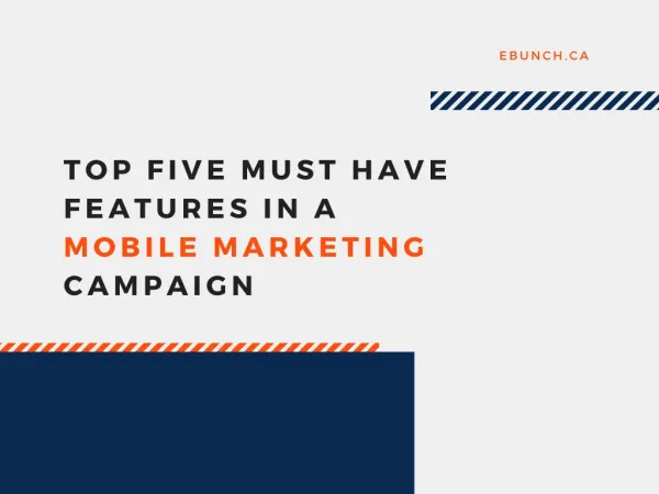 Top Five Must Have Features in a Mobile Marketing Campaign