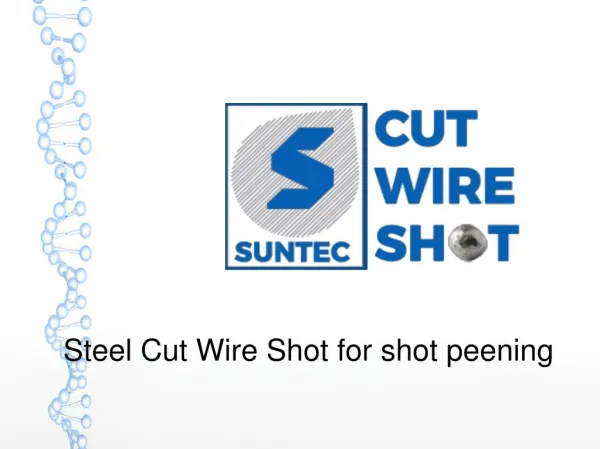 Steel Cut Wire Shot for shot peening