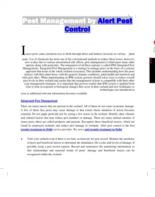 Termite treatment in Delhi - slide 1