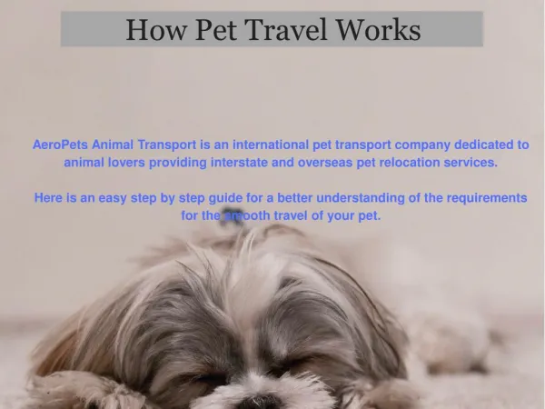 Aeropets is Best Pet Travel Service.