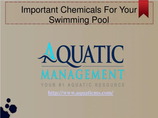 Important Chemicals For Your Swimming Pool