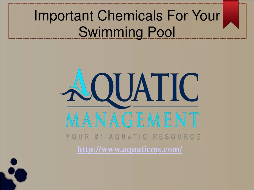 important chemicals for your swimming pool