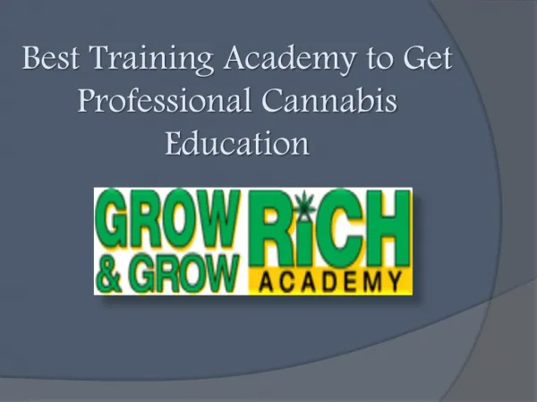Best Training Academy to Get Professional Cannabis Education