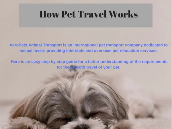 Best Pet Travel Service Is AeroPets
