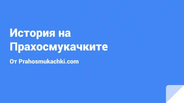 Prahosmukachki.com - История на прахосмукачките