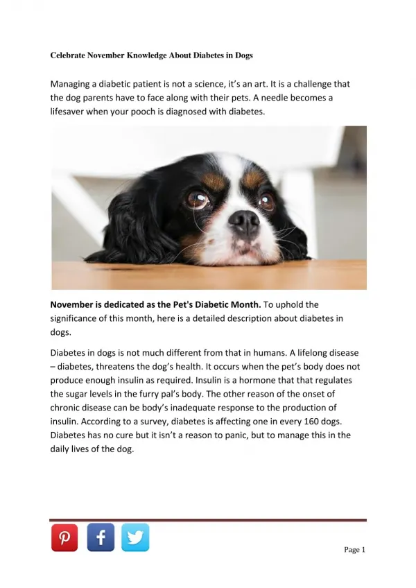 Celebrate November Knowledge About Diabetes in Dogs