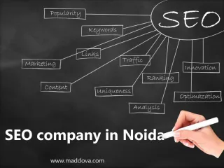 Maddova - Best SEO & SMO Company India