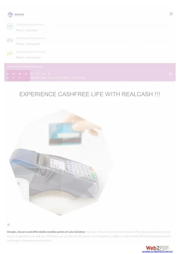 RealCash mPOS device for merchant