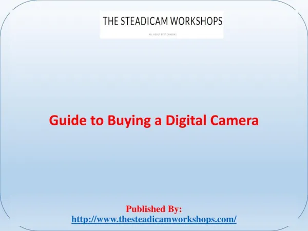 Guide to Buying a Digital Camera
