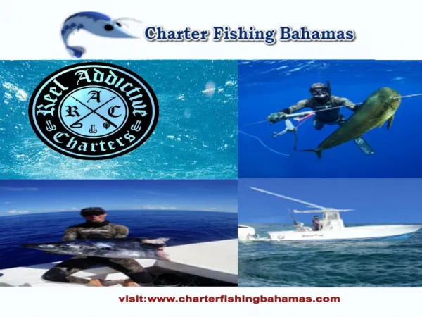 Best Fishing Charters in Bahamas | charterfishingbahamas