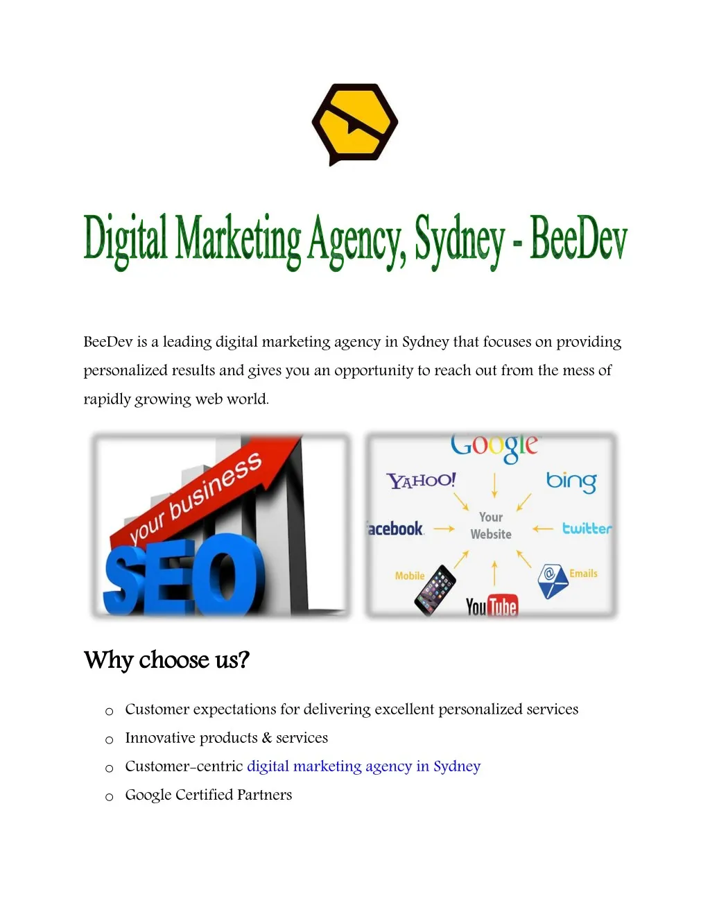 beedev is a leading digital marketing agency