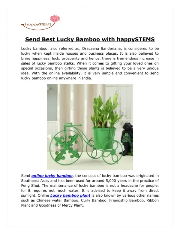 Send Best Lucky Bamboo with happySTEMS