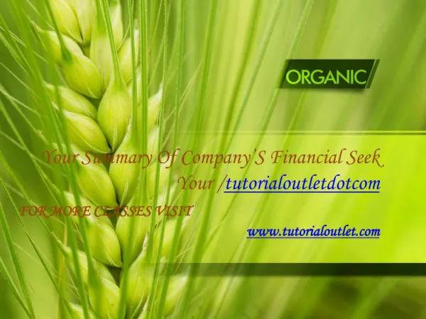 Your Summary Of Company’S Financial Seek Your Dream/Tutorialoutletdotcom