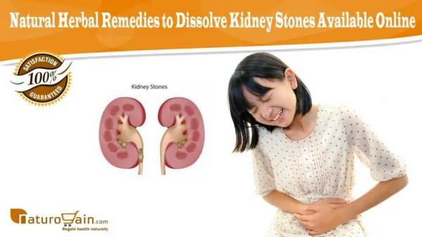 Natural Herbal Remedies to Dissolve Kidney Stones Available Online