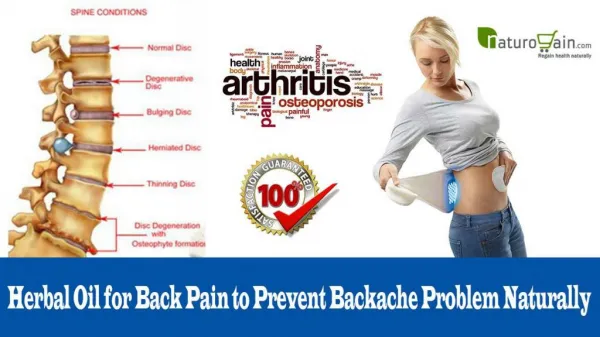 Herbal Oil for Back Pain to Prevent Backache Problem Naturally