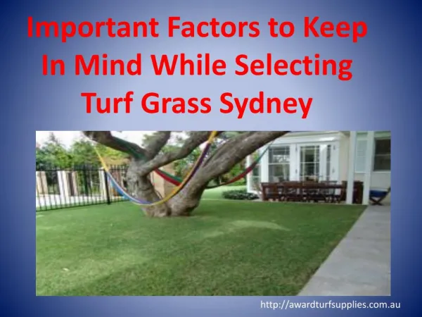 Important Factors to Keep In Mind While Selecting Turf Grass Sydney
