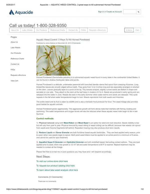 Aquatic Weed Control: 3 Ways To Kill Horned Pondweed