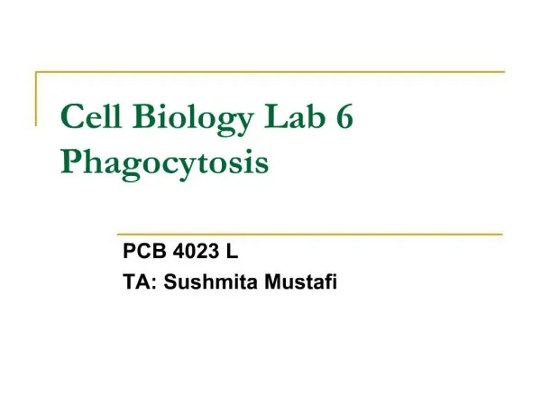 Cell Biology Lab 6 Phagocytosis