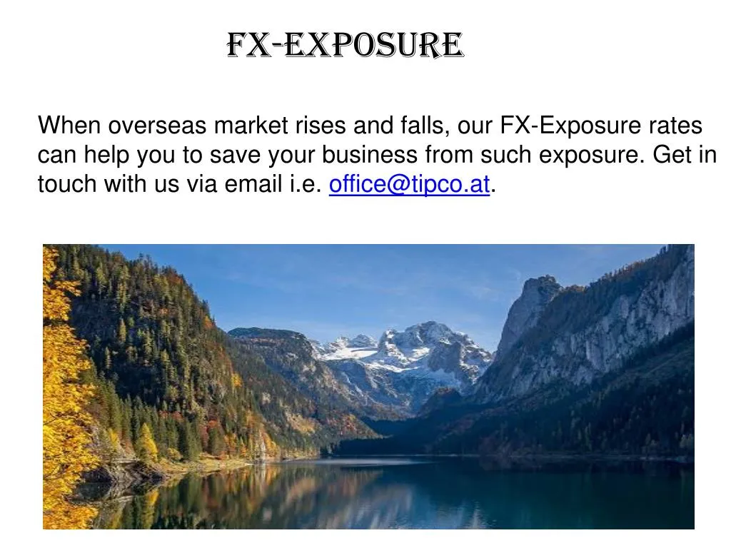 fx exposure