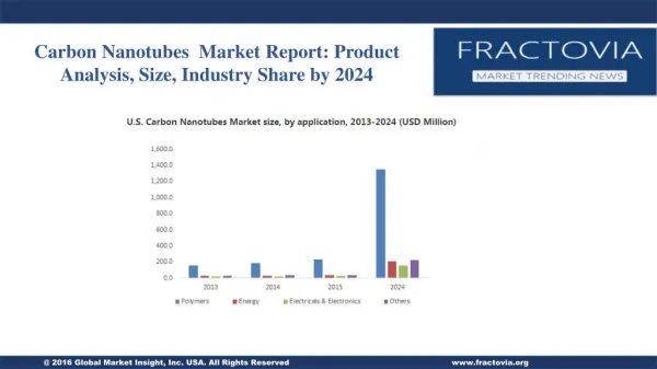 Carbon Nanotubes Market Report: Product Analysis, Size, Industry Share by 2024