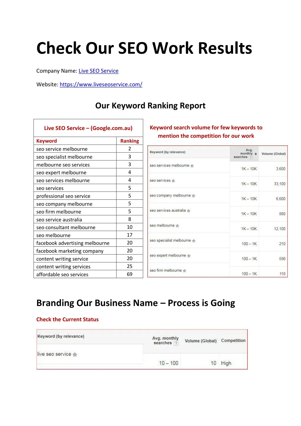 check our seo work results