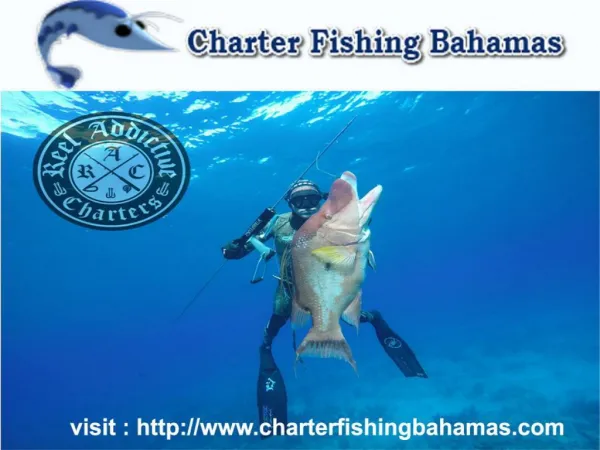 Top Fishing Charters in Bahamas