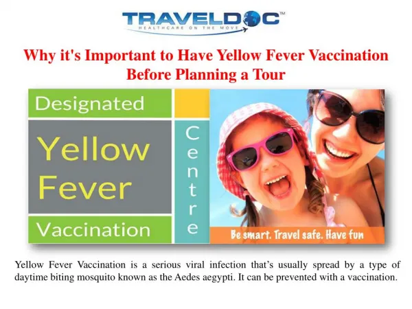 Why it's Important to Have Yellow Fever Vaccination Before Planning a Tour