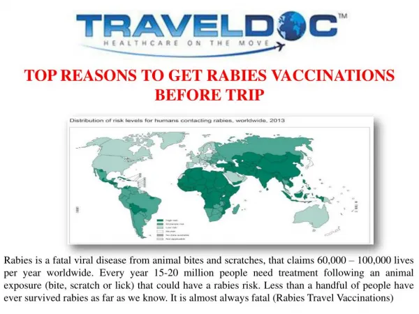 TOP REASONS TO GET RABIES VACCINATIONS BEFORE TRIP