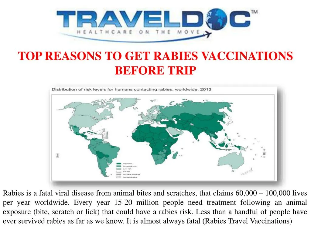 top reasons to get rabies vaccinations before trip