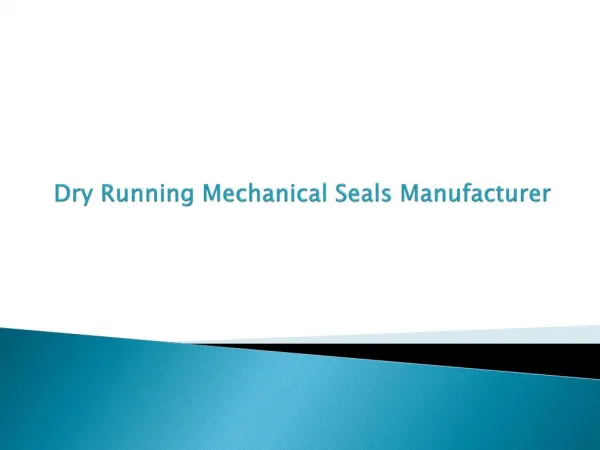 Dry Running Mechanical Seal Manufacturer