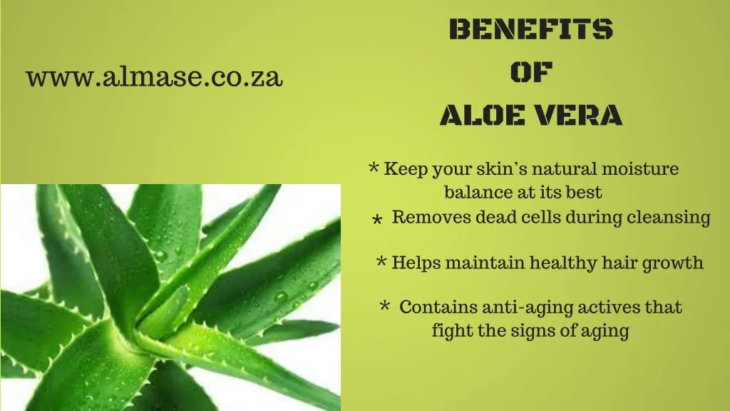 benefits of aloe vera