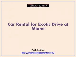 Car Rental for Exotic Drive at Miami