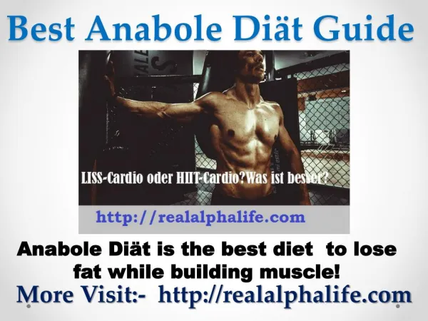 Best Anabole Diät Guide