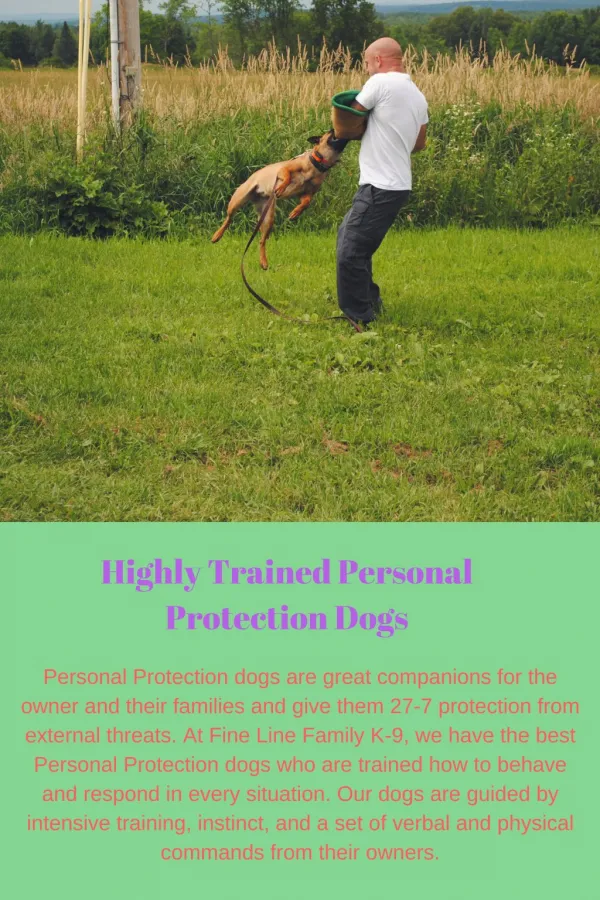 Highly Trained Personal Protection Dogs