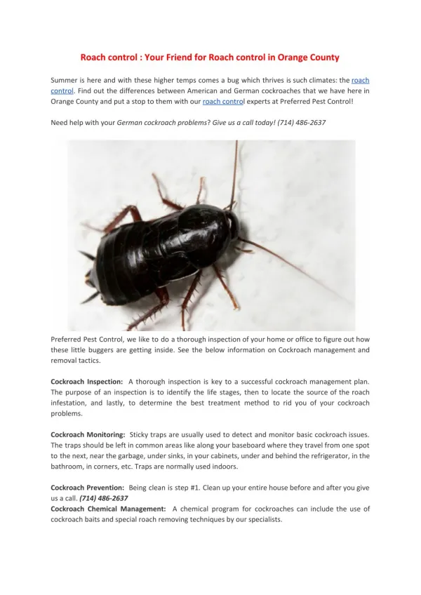Roach control : Your Friend for Roach control in Orange County